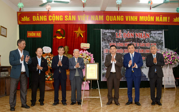 [-]Làng[-]Khê[-]Tang[-]lần[-]thứ[-]2[-]đón[-]nhận[-]Cây[-]Di[-]sản[-]Việt[-]Nam